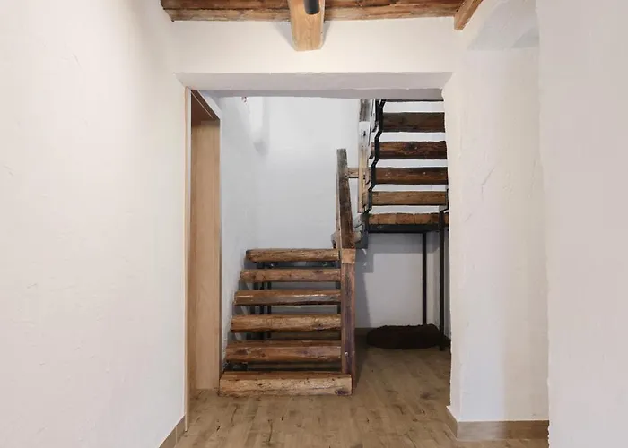 Jagodowa & Free Sauna & Balia *